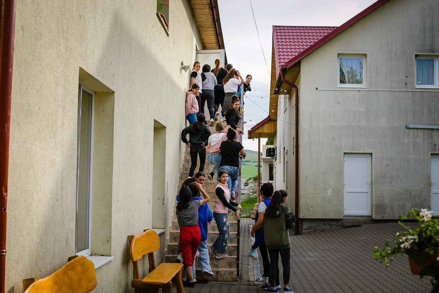 Dumbrava project photo 3