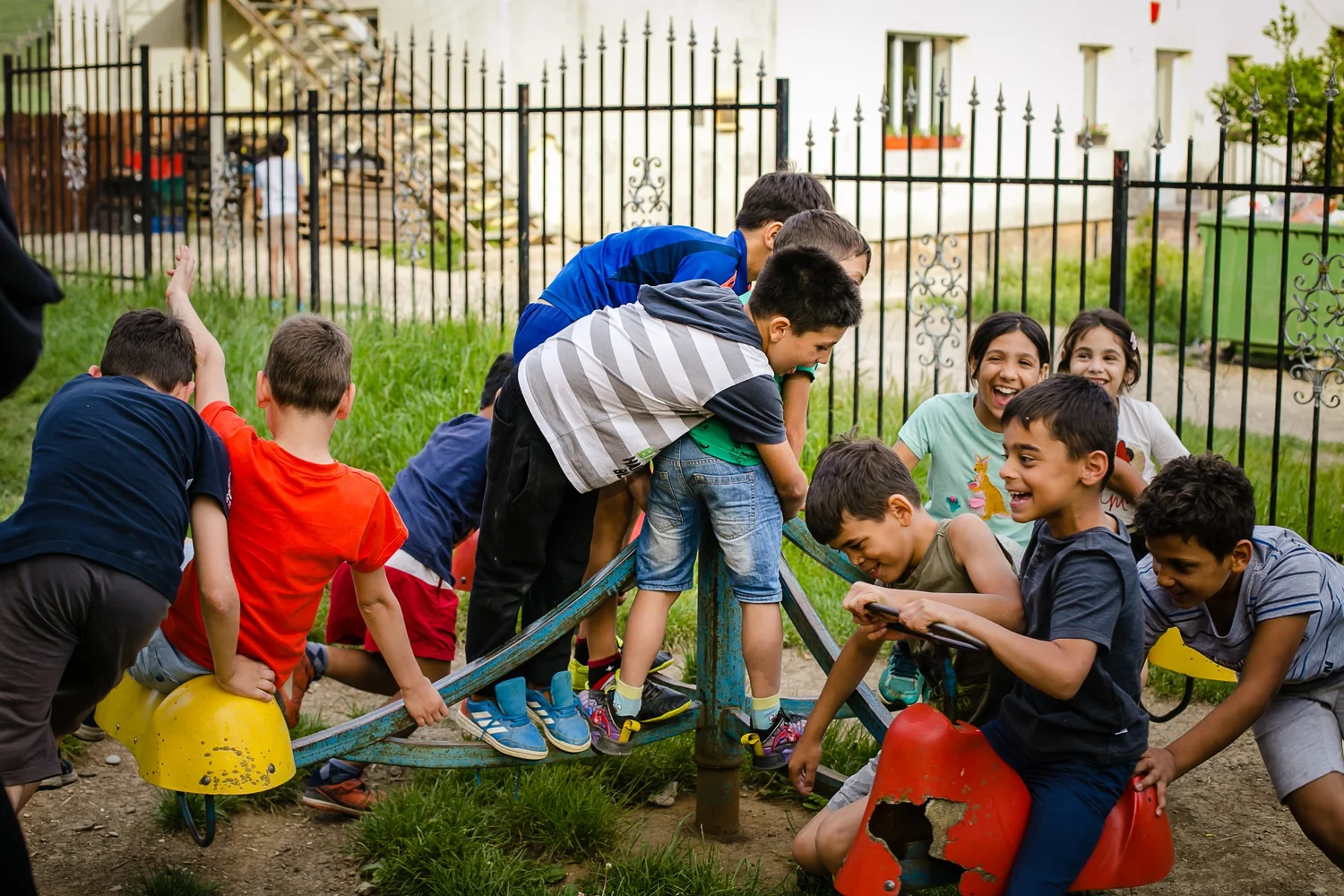 Dumbrava project photo 4