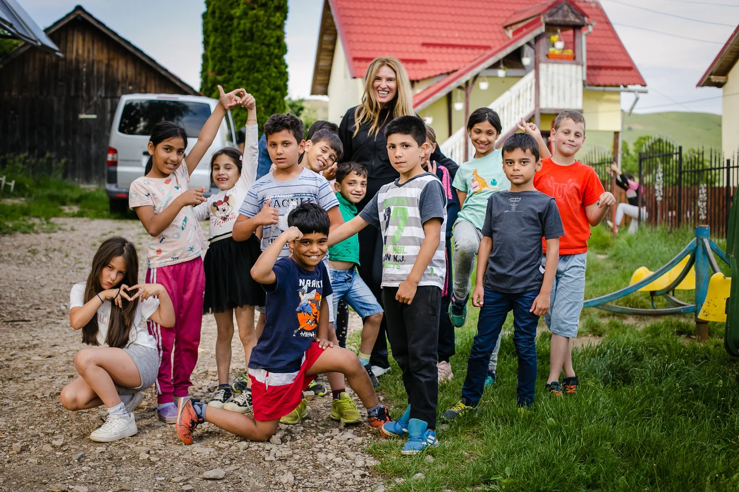 Dumbrava project photo 5