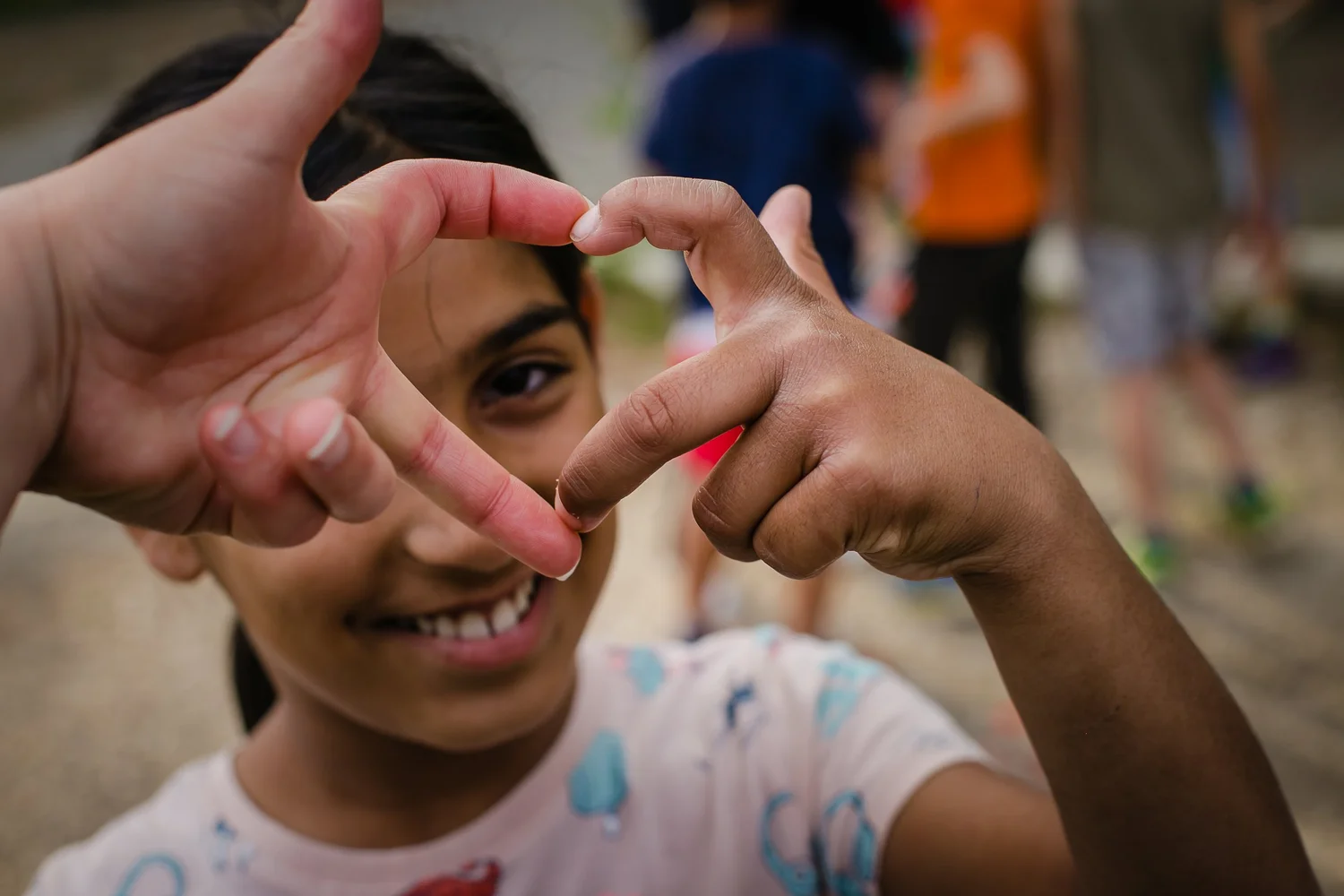 Dumbrava project photo 6